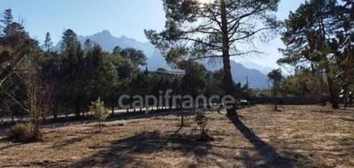 Terrain seul à Moltifao en Haute-Corse (2B) de 2360 m² à vendre au prix de 225000€ - 1
