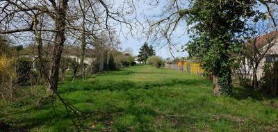 Terrain seul à Faverolles-sur-Cher en Loir-et-Cher (41) de 1766 m² à vendre au prix de 30500€ - 3
