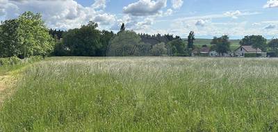 Terrain seul à Quenne en Yonne (89) de 3383 m² à vendre au prix de 43000€ - 1