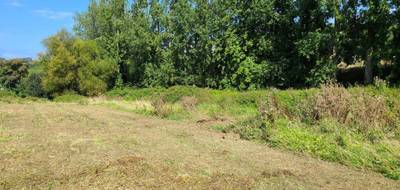 Terrain seul à Saint-Jean-du-Doigt en Finistère (29) de 1948 m² à vendre au prix de 55000€ - 3
