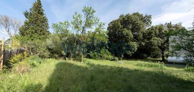 Terrain seul à Les Angles en Gard (30) de 600 m² à vendre au prix de 149000€ - 2
