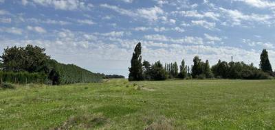 Terrain seul à Vallery en Yonne (89) de 1000 m² à vendre au prix de 36000€ - 1