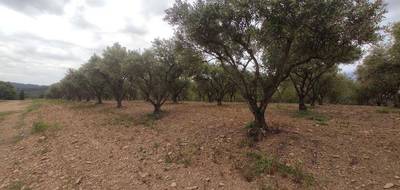 Terrain seul à Pézenas en Hérault (34) de 7000 m² à vendre au prix de 29000€ - 3