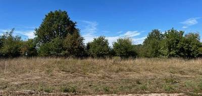 Terrain seul à Coudures en Landes (40) de 2300 m² à vendre au prix de 28000€ - 2