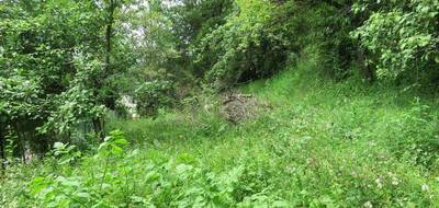 Terrain seul à Argis en Ain (01) de 787 m² à vendre au prix de 65000€ - 4
