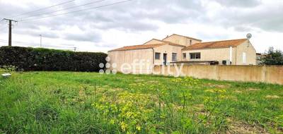 Terrain seul à Saint-Pierre-d'Oléron en Charente-Maritime (17) de 400 m² à vendre au prix de 159000€ - 3