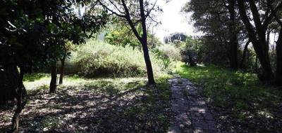 Terrain seul à Jard-sur-Mer en Vendée (85) de 2200 m² à vendre au prix de 725000€ - 2