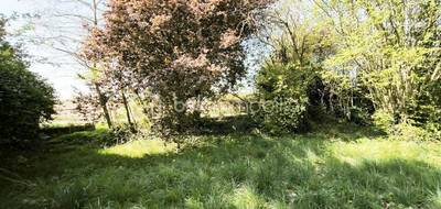 Terrain seul à Attainville en Val-d'Oise (95) de 639 m² à vendre au prix de 239000€ - 4