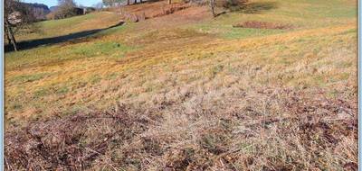 Terrain seul à Chabreloche en Puy-de-Dôme (63) de 2355 m² à vendre au prix de 25000€ - 3