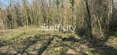 Terrain seul à Vernou-la-Celle-sur-Seine en Seine-et-Marne (77) de 4917 m² à vendre au prix de 99000€ - 2