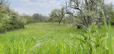 Terrain seul à Saint-Martin-la-Garenne en Yvelines (78) de 1349 m² à vendre au prix de 173600€ - 1