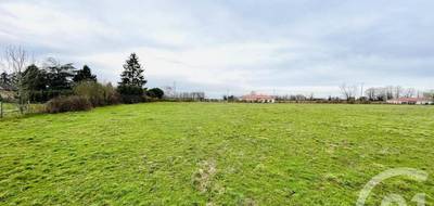 Terrain seul à Gorre en Haute-Vienne (87) de 22544 m² à vendre au prix de 119800€ - 3