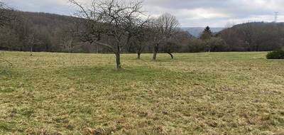 Terrain seul à Garrebourg en Moselle (57) de 931 m² à vendre au prix de 47800€ - 1