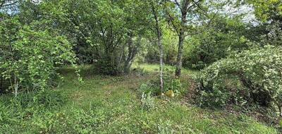 Terrain seul à Saint-Aubin-de-Médoc en Gironde (33) de 800 m² à vendre au prix de 211000€ - 4