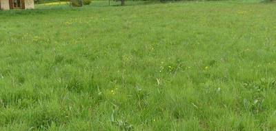 Terrain seul à Roilly en Côte-d'Or (21) de 2000 m² à vendre au prix de 25000€ - 3