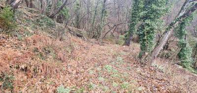 Terrain seul à Le Collet-de-Dèze en Lozère (48) de 9403 m² à vendre au prix de 98000€ - 3
