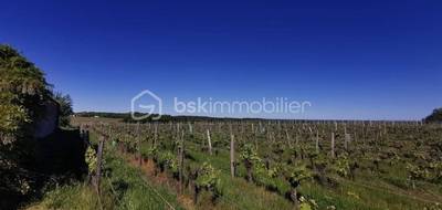 Terrain seul à Belvès-de-Castillon en Gironde (33) de 0 m² à vendre au prix de 168000€ - 2