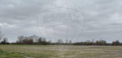 Terrain seul à Waben en Pas-de-Calais (62) de 28520 m² à vendre au prix de 62000€ - 3