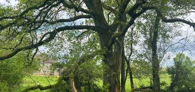 Terrain seul à Thiviers en Dordogne (24) de 9918 m² à vendre au prix de 39000€ - 2