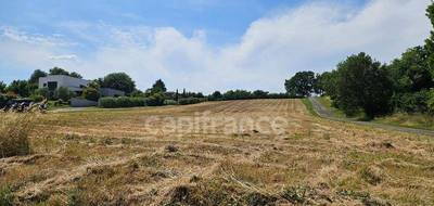 Terrain seul à Fleurance en Gers (32) de 3300 m² à vendre au prix de 84000€ - 1