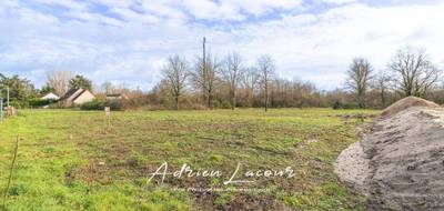 Terrain seul à Pruniers-en-Sologne en Loir-et-Cher (41) de 1009 m² à vendre au prix de 32990€ - 1