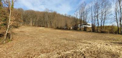 Terrain seul à Masevaux-Niederbruck en Haut-Rhin (68) de 2640 m² à vendre au prix de 225000€ - 3