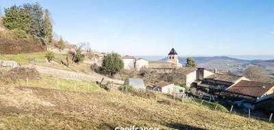 Terrain seul à Fleurie en Rhône (69) de 2065 m² à vendre au prix de 67500€ - 2