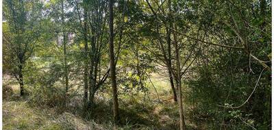 Terrain seul à Saint-Pierre-de-Côle en Dordogne (24) de 1700 m² à vendre au prix de 26000€ - 4