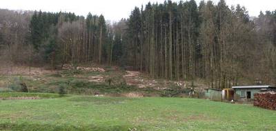 Terrain seul à Hottviller en Moselle (57) de 803 m² à vendre au prix de 17500€ - 2