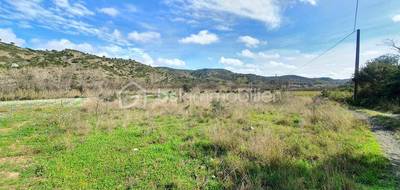 Terrain seul à Estagel en Pyrénées-Orientales (66) de 4760 m² à vendre au prix de 7500€ - 4