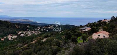 Terrain seul à Sari-Solenzara en Corse-du-Sud (2A) de 2600 m² à vendre au prix de 405000€ - 4