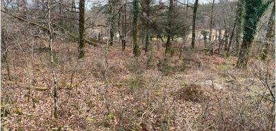 Terrain seul à Saint-Jean-de-Côle en Dordogne (24) de 6671 m² à vendre au prix de 36000€ - 2