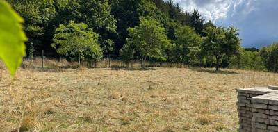 Terrain seul à Hirtzbach en Haut-Rhin (68) de 1600 m² à vendre au prix de 217391€ - 1
