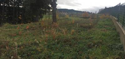 Terrain seul à Dunières en Haute-Loire (43) de 1218 m² à vendre au prix de 39900€ - 3
