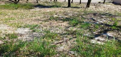Terrain seul à Forcalquier en Alpes-de-Haute-Provence (04) de 820 m² à vendre au prix de 145000€ - 4