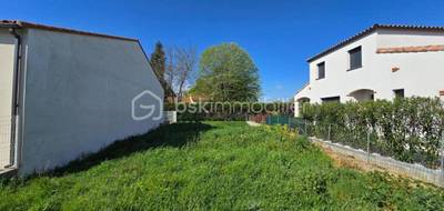 Terrain seul à Saint-Cyprien en Pyrénées-Orientales (66) de 263 m² à vendre au prix de 155000€ - 4