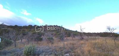Terrain seul à Gras en Ardèche (07) de 3300 m² à vendre au prix de 80000€ - 4
