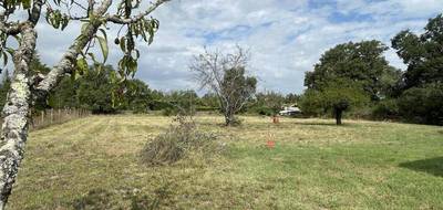 Terrain seul à Coufouleux en Tarn (81) de 2300 m² à vendre au prix de 115000€ - 2