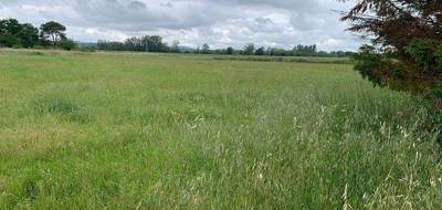 Terrain seul à Auterive en Haute-Garonne (31) de 1737 m² à vendre au prix de 95000€ - 3