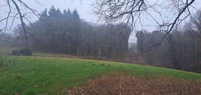 Terrain seul à Saint-Sornin-Lavolps en Corrèze (19) de 8903 m² à vendre au prix de 50000€ - 2