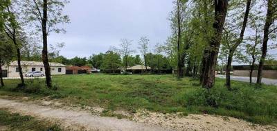Terrain seul à Saint-Denis-de-Pile en Gironde (33) de 1200 m² à vendre au prix de 66000€ - 3