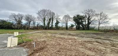 Terrain seul à Marzan en Morbihan (56) de 541 m² à vendre au prix de 71800€ - 1