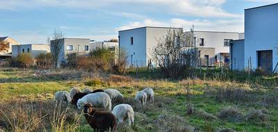 Terrain seul à Orgères en Ille-et-Vilaine (35) de 326 m² à vendre au prix de 81174€ - 2