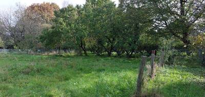 Terrain seul à Questembert en Morbihan (56) de 2783 m² à vendre au prix de 270400€ - 2