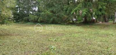 Terrain seul à Bray-Saint-Aignan en Loiret (45) de 1100 m² à vendre au prix de 53000€ - 3
