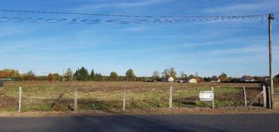 Terrain seul à Chassenard en Allier (03) de 2699 m² à vendre au prix de 37000€ - 2