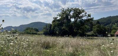 Terrain seul à Saint-Sernin-du-Bois en Saône-et-Loire (71) de 1306 m² à vendre au prix de 35900€ - 2
