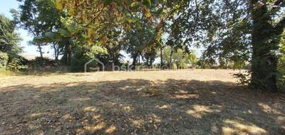 Terrain seul à Hinx en Landes (40) de 1347 m² à vendre au prix de 141600€ - 1