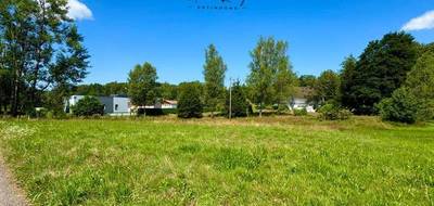 Terrain seul à Le Thillot en Vosges (88) de 1091 m² à vendre au prix de 33000€ - 3