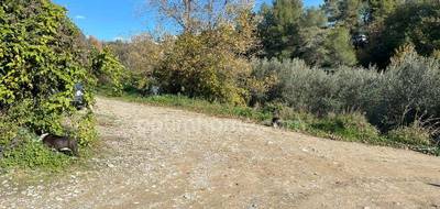 Terrain seul à La Gaude en Alpes-Maritimes (06) de 2079 m² à vendre au prix de 519000€ - 4